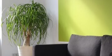 ADHD Coaching Techniques